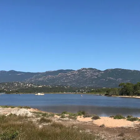 Bavela